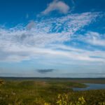 Governo federal lança Plano Safra da Agricultura Familiar 2026 Vista aerea da Floresta Nacional do Tapajos, no Para