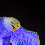 Carnaval 2027 no Rio: veja como está a preparação das escolas de samba carnaval-portela-2014